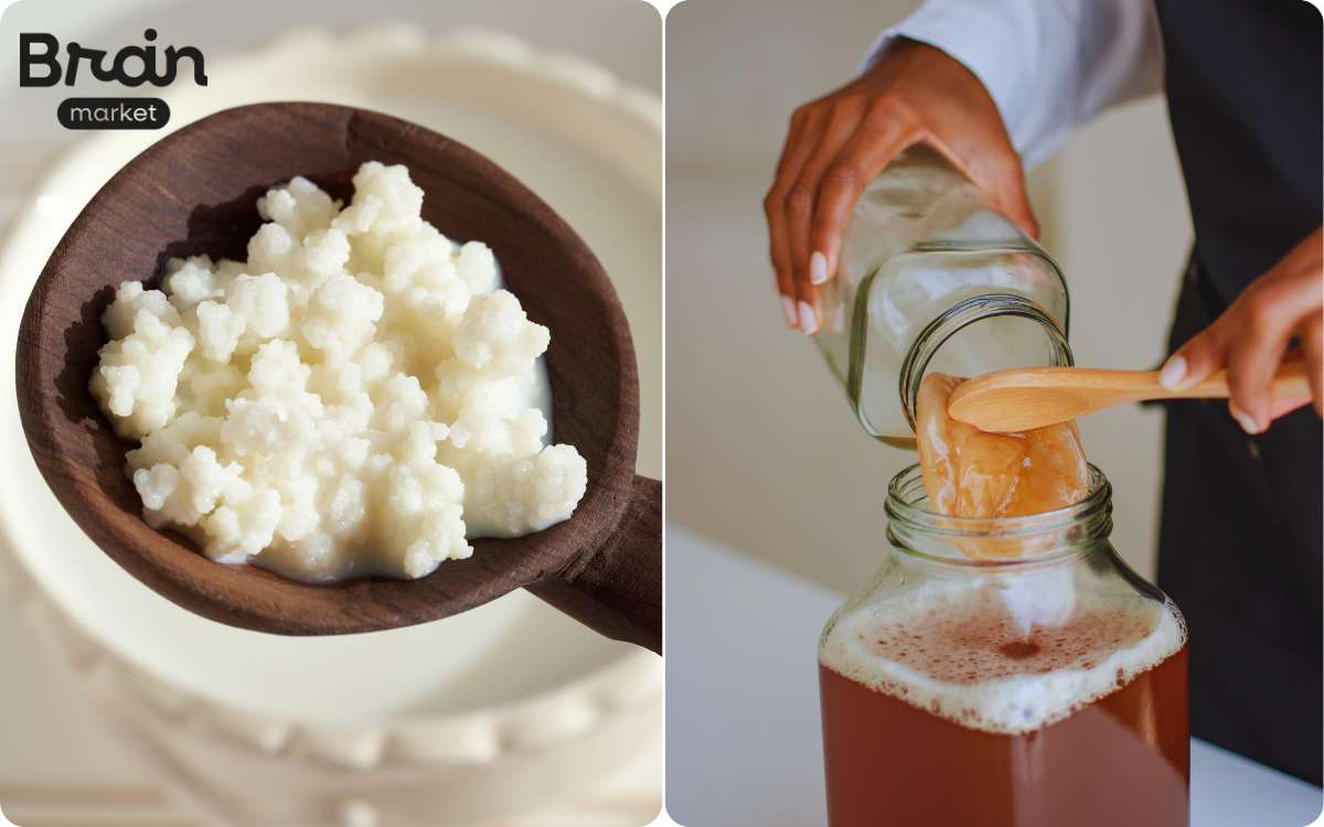 KEFIR KOMBUCHA DOMACI FERMENTACE